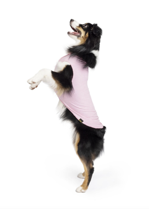 Sun Shield UPF Dog Tee - Assorted Styles