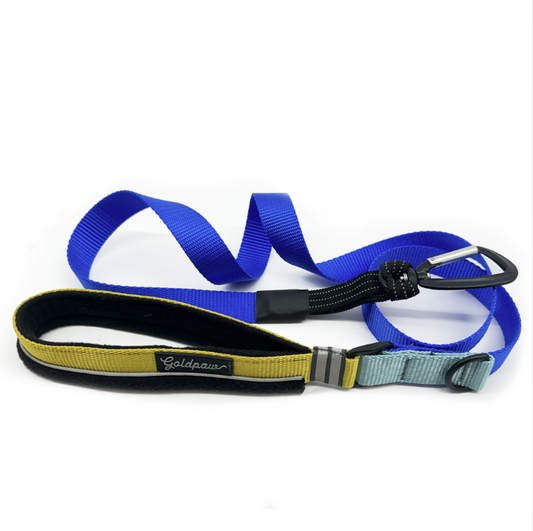 Featherweight Leash