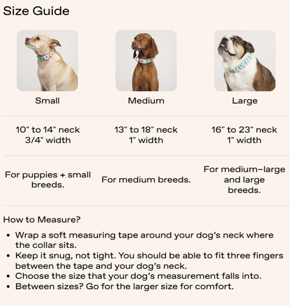 Adjustable Dog Collar - Limited Edition 2026