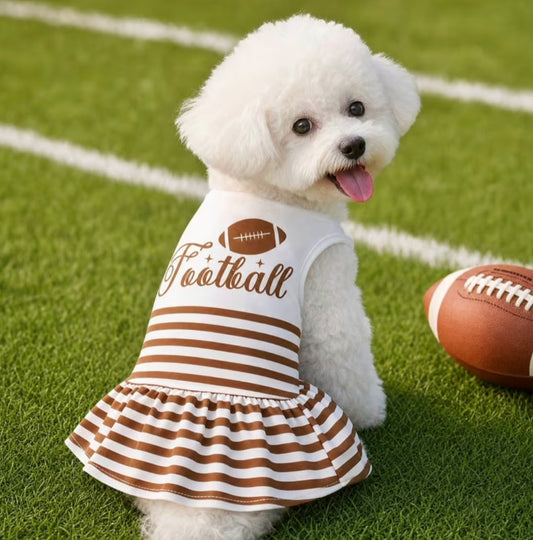 Football Dog Dress
