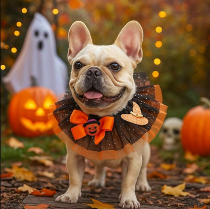Halloween Lace Dog Collar