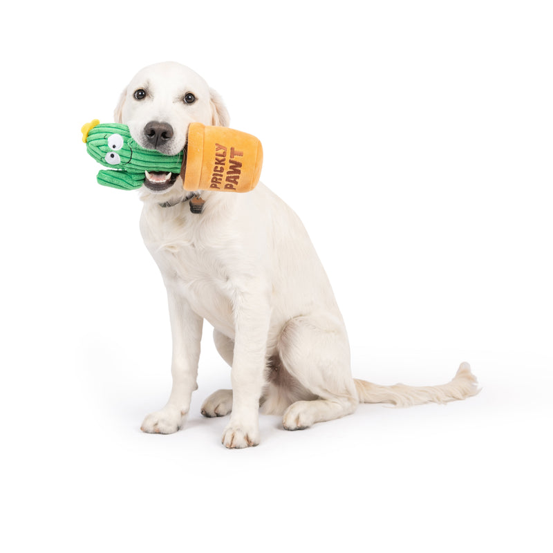 Seek 'N Treat Prickly Plush Dog Toy