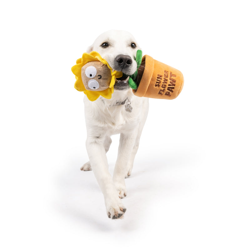 Seek 'N Treat Sunflower Plush Dog Toy