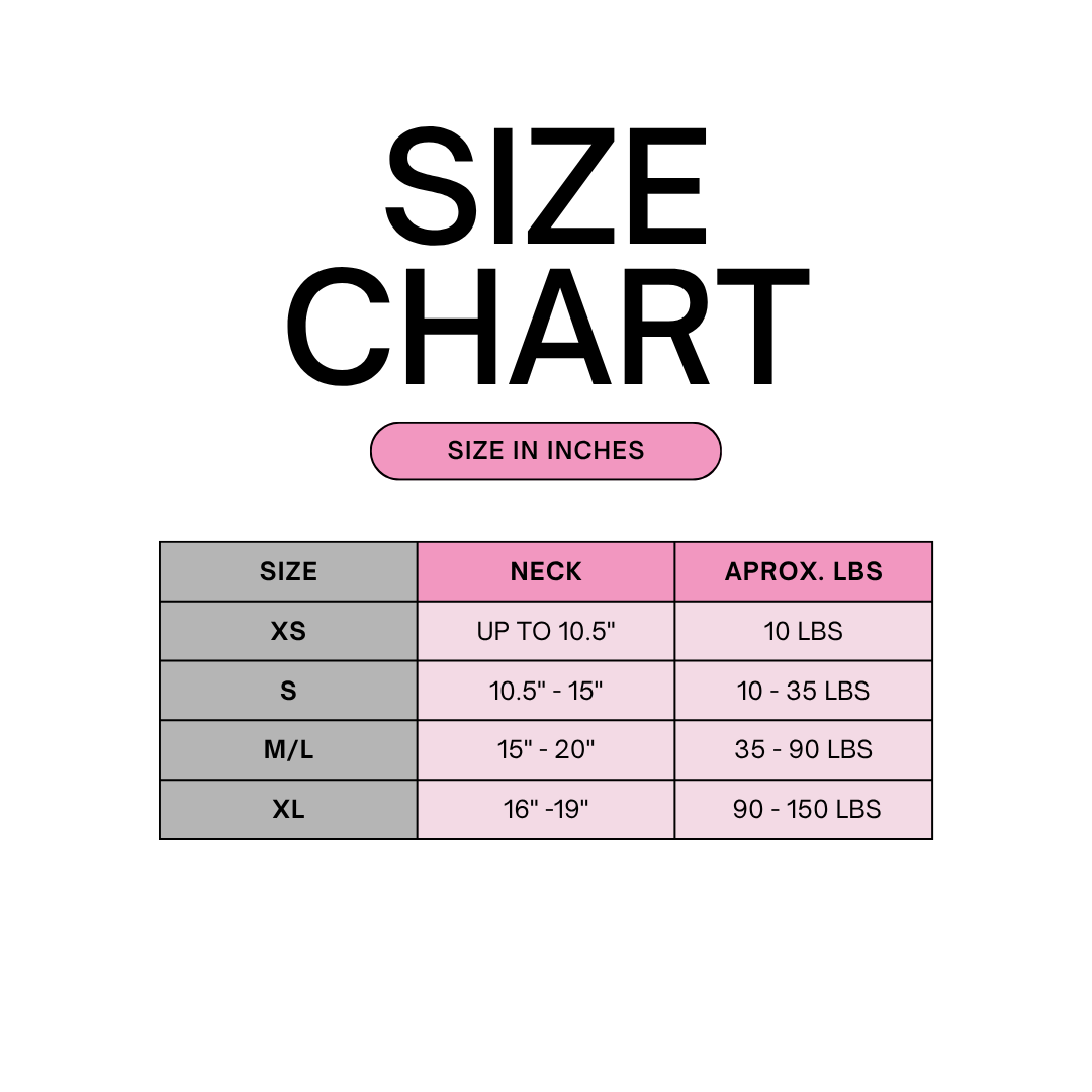 Treats for Santa Wrinkle Resistant Bandana