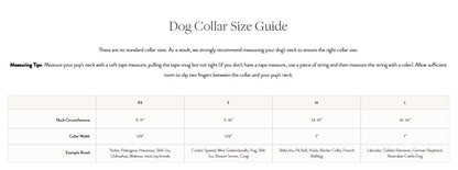 Lake Blue Gingham Dog Collar