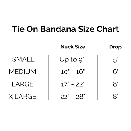 Galentine Bandana Dog Bandana