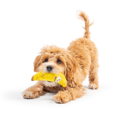 Tiny Tuff Bruiser Banana Plush Dog Toy