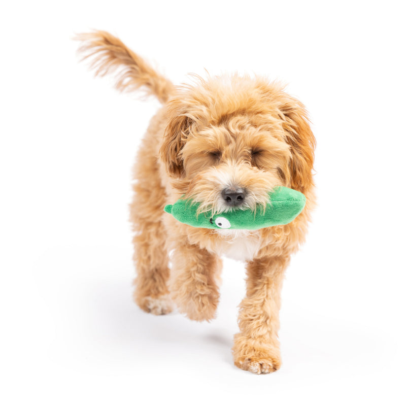 Tiny Tuff Dell Pickle Plush Dog Toy