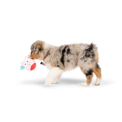 Tiny Tuff Flying Piggasus Plush Dog Toy