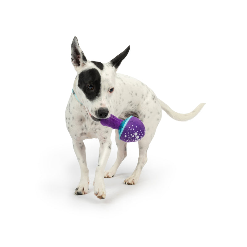 Tiny Tuff Mellow Mushroom Plush Dog Toy