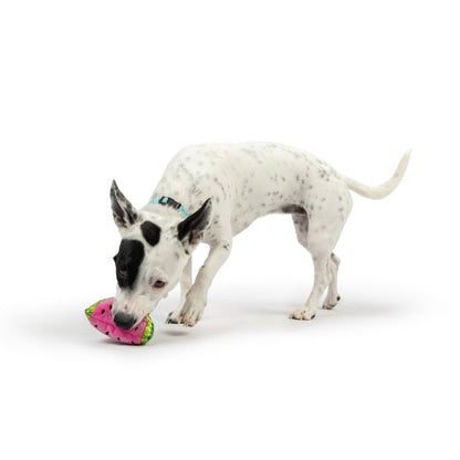 Tiny Tuff Walter Melon Plush Dog Toy