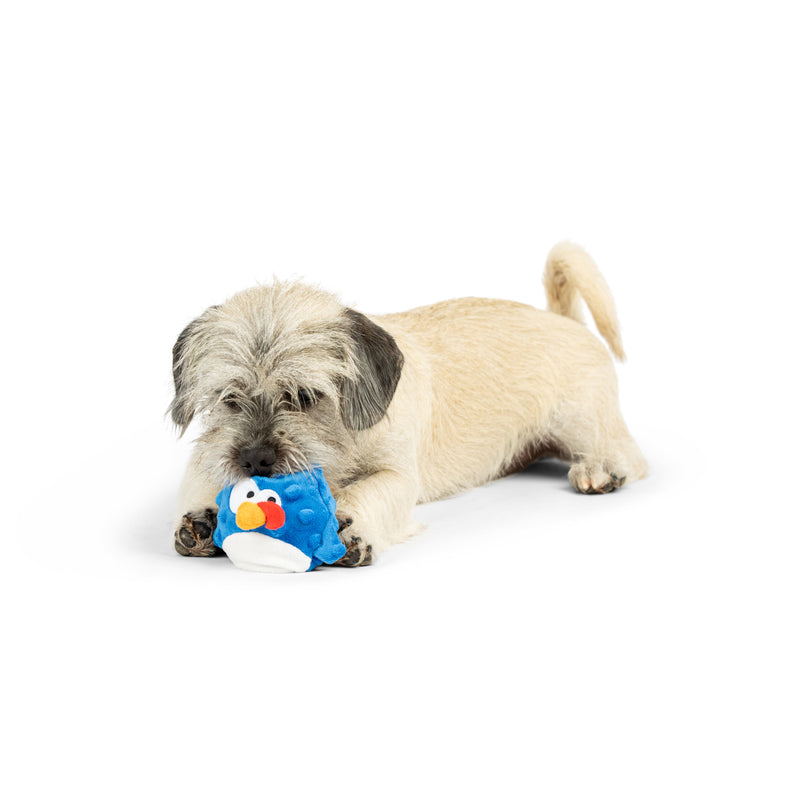 Tiny Tuff Chicken Gordon Bleu Plush Dog Toy