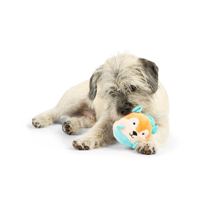 Tiny Tuff Nutty Buddy Plush Dog Toy