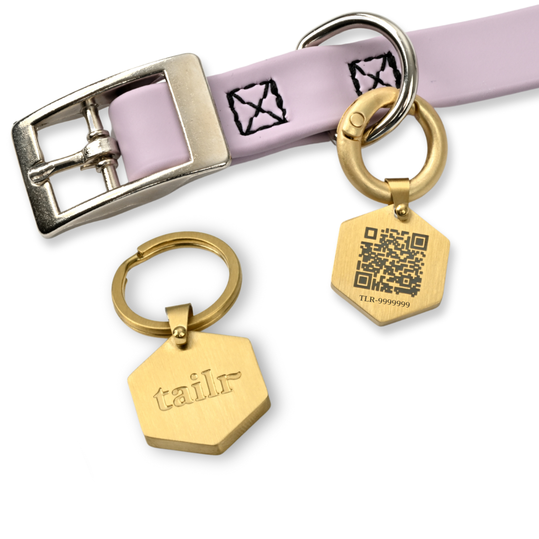 Tailr Classic Tag