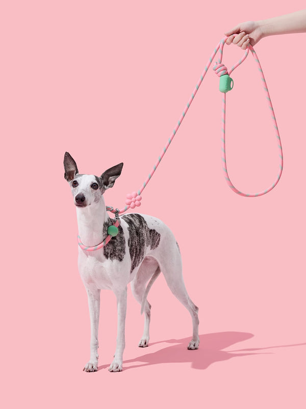 Connect Hands-Free Rope Leash