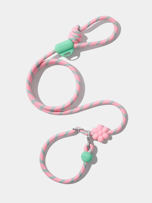Connect Hands-Free Rope Leash