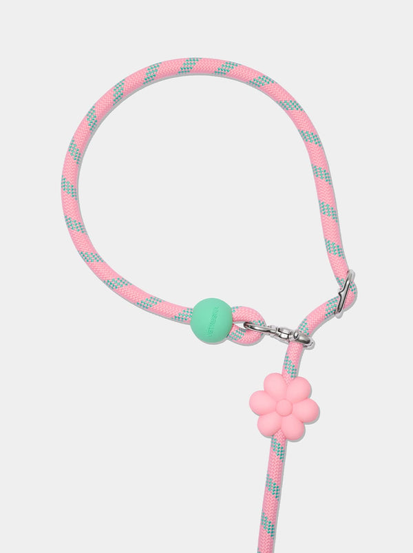 Connect Hands-Free Rope Leash