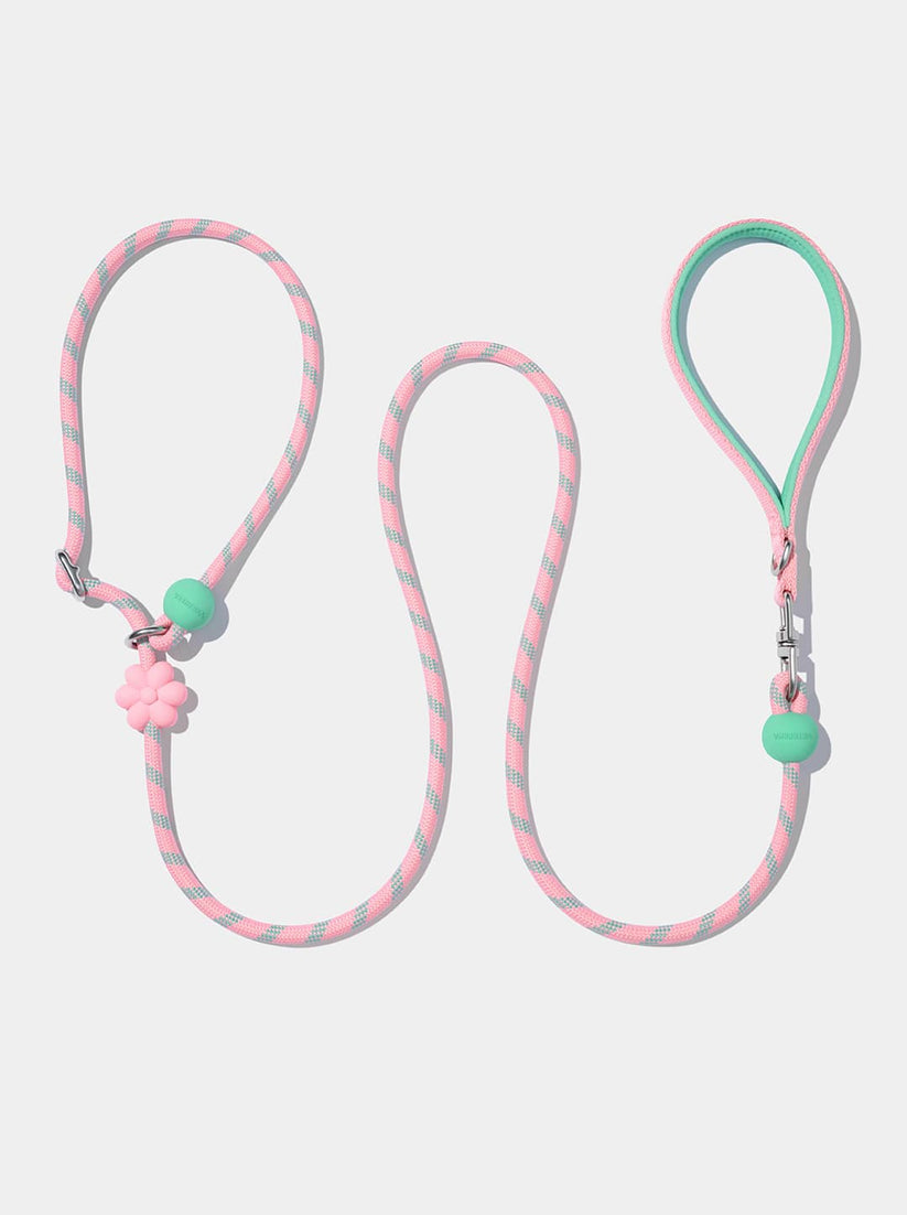 Connect Lite Rope Leash - New Assorted Styles