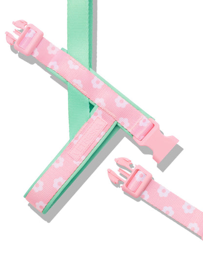 Flora Dog Harness & Leash