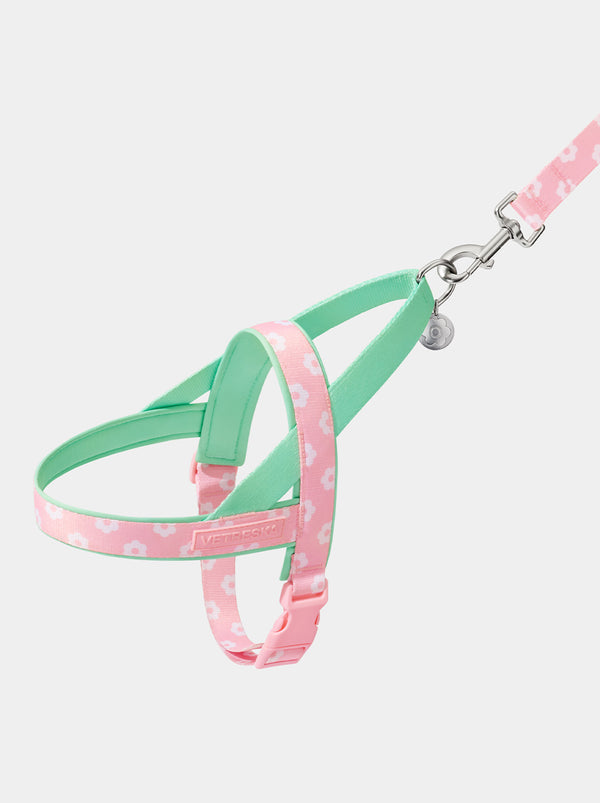Flora Dog Harness & Leash