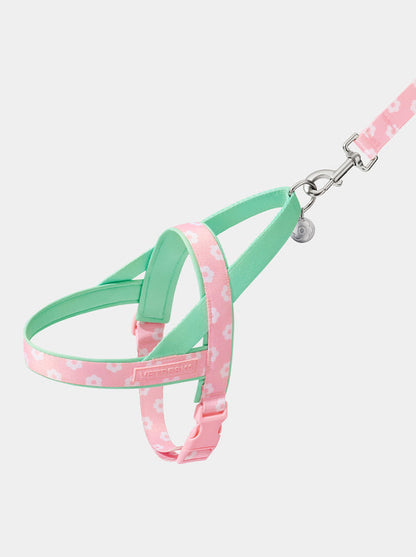Flora Dog Harness & Leash