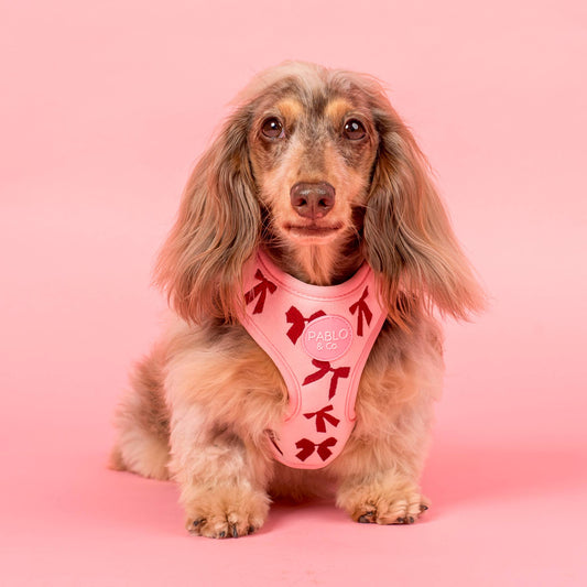 Velvet Blush Bows Adjustable Dog Harness