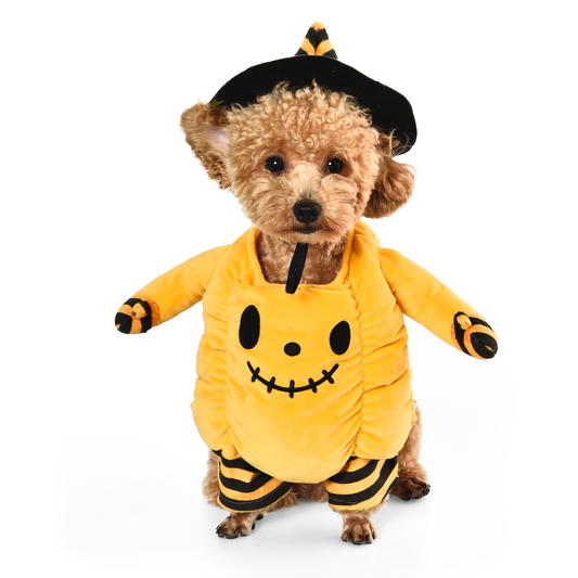 Halloween Pumpkin Dog Costume