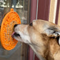 Camp eMat Enrichment Lick Mat With Suction Cups: Orange Camp E-Mat