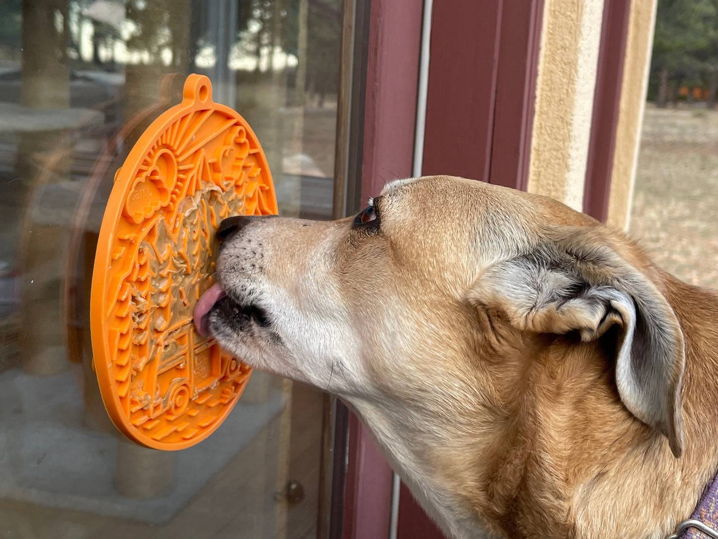 Camp eMat Enrichment Lick Mat With Suction Cups: Orange Camp E-Mat