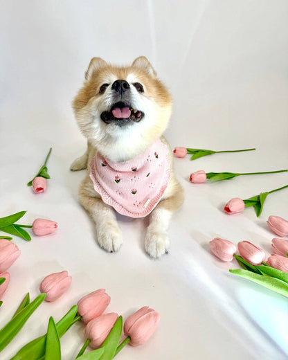 Mariposa Dog Bandana