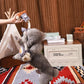 HugSmart Pet - Raccoon Buddies Raccoon Rope - Rope Toy