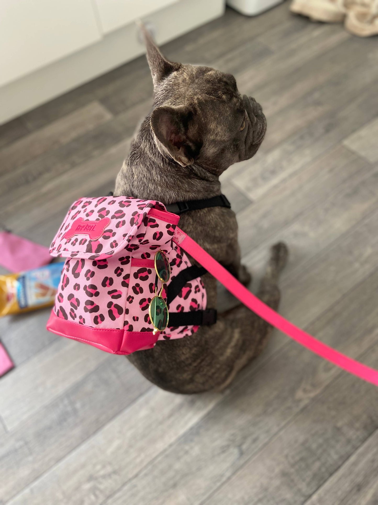 Pink Leopard Print Dog backpack - Assorted Sizes