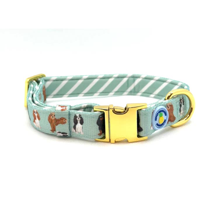 Cavalier Dog Collar - Small