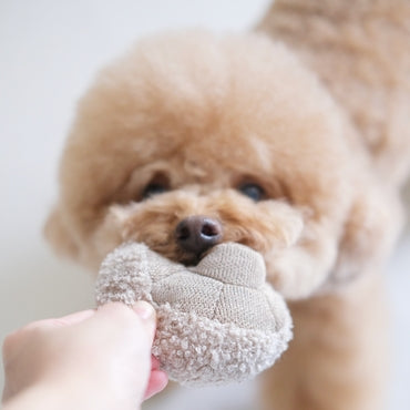 Mushroom Dog Toy