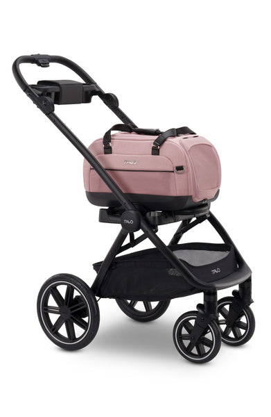 Tavo Dupree II + Roscoe Pet Travel System