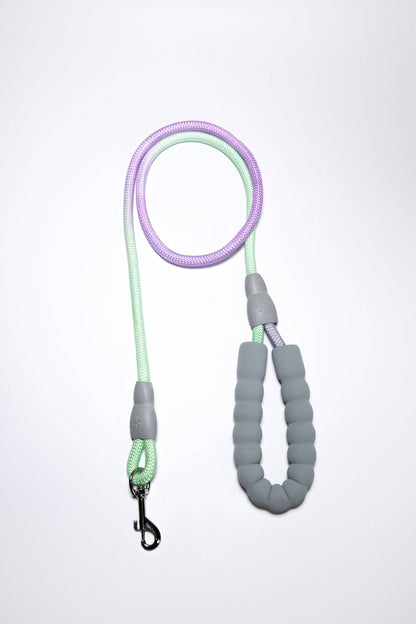 Gradient Pink/Blue Walk Kit Leash and Harness