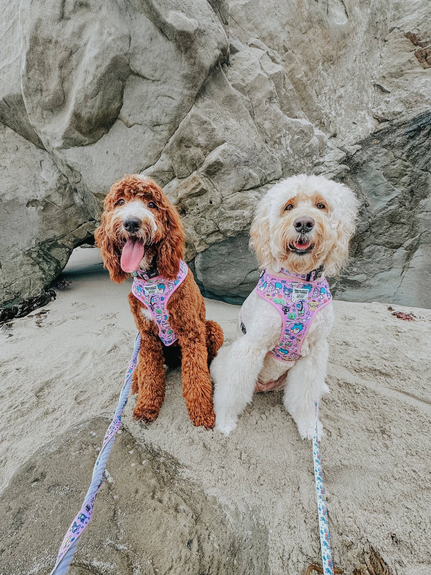 Hello Kitty® & Friends Flower Festival Dog Adjustable Harness