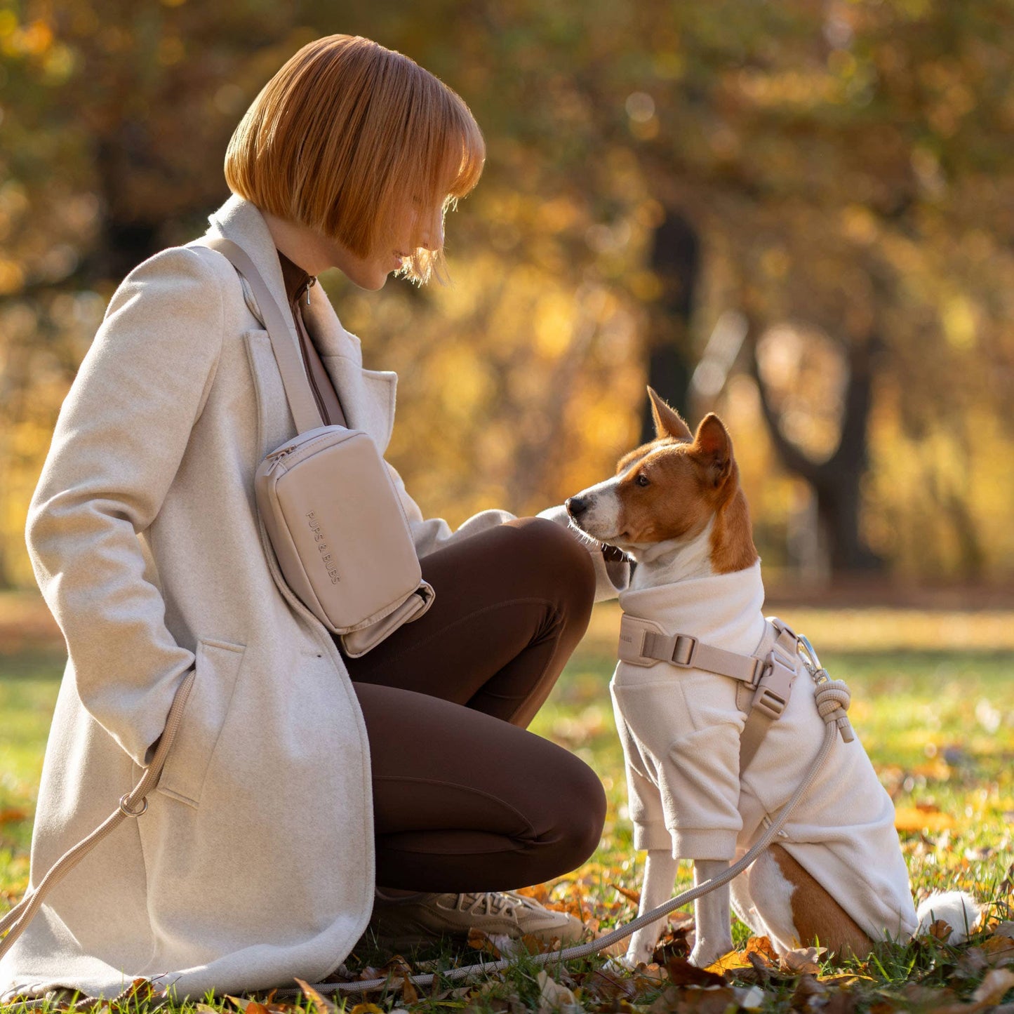 Rover Dog Harness