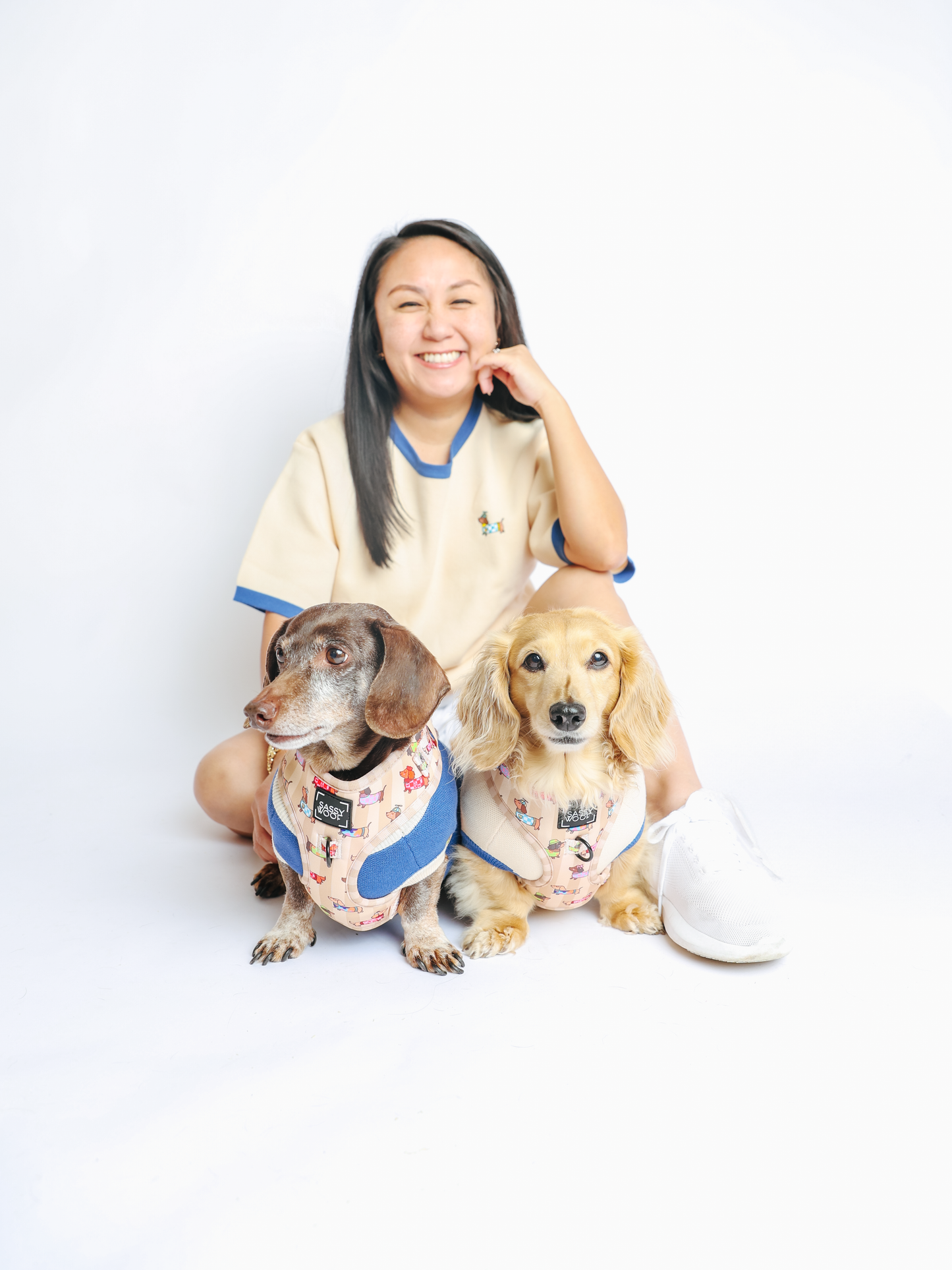Dog Adjustable Harness - Sunbean
