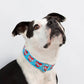 MOM Heart Tattoo Dog Collar - Assorted Colors