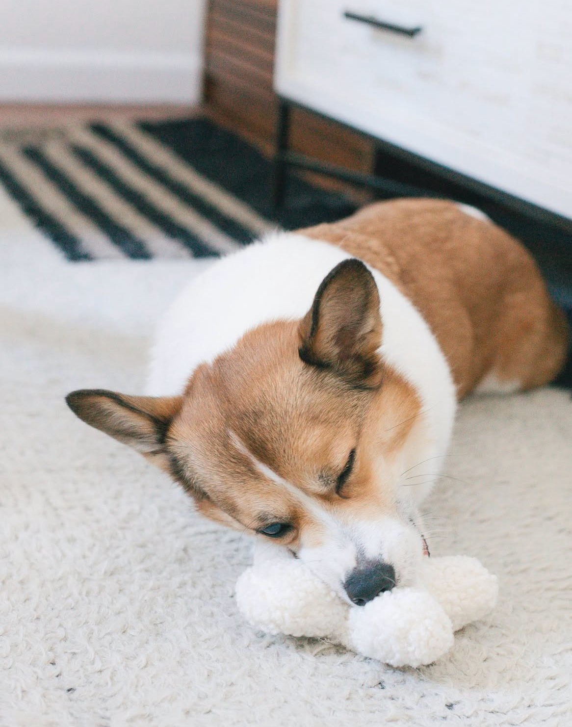 Hugs Boucle Dog Toy
