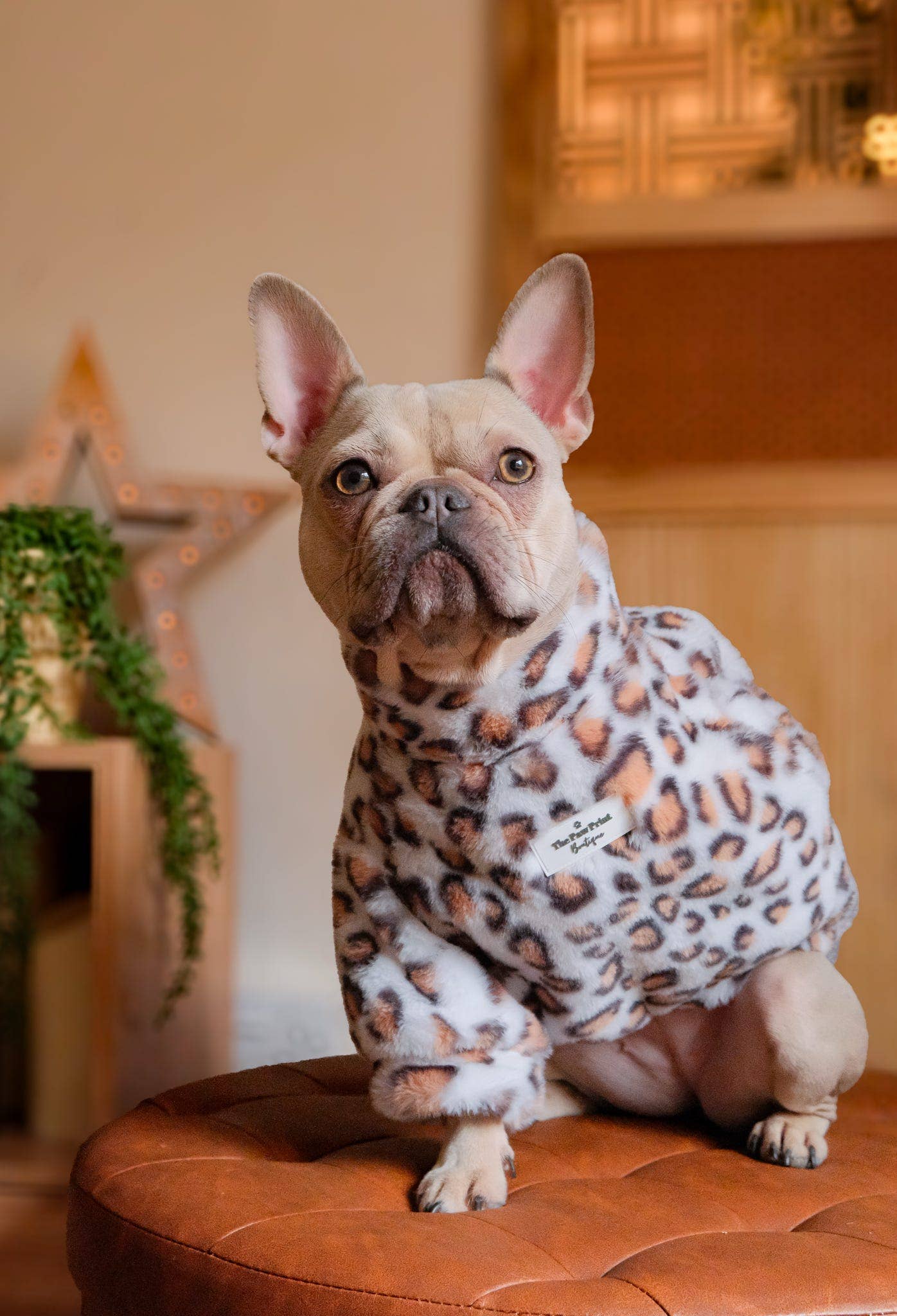 The Leopard Print Fluffy & Fabulous Fleece