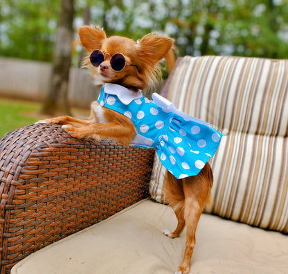 Blue Polka Dot Dog Dress w/ Matching Leash