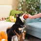 HugSmart Pet - Food Party Ham - Dog Ball Toy