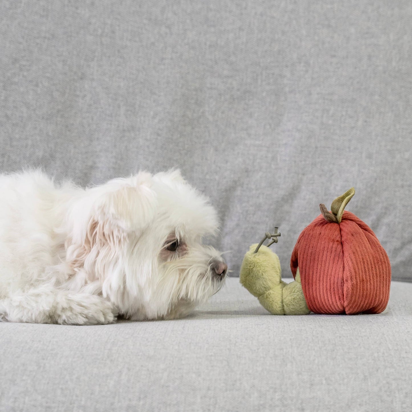 Fruit Enrichment Dog Toys - Assorted Fruits