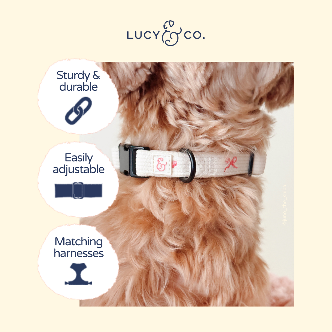 Ever So Sweet Collar