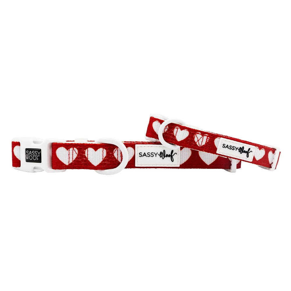 Little Love Dog Collar