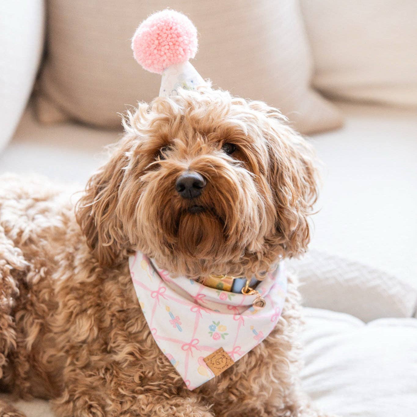 Pink Bows And Cake Birthday Celebration Bandana