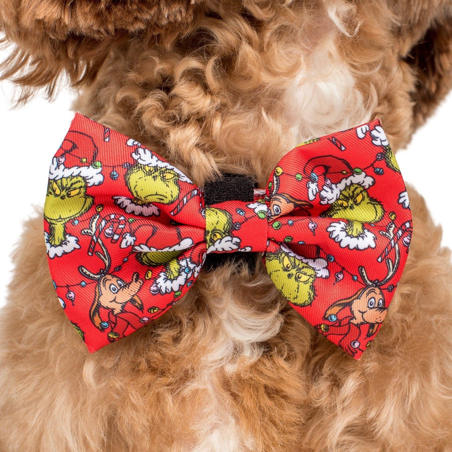 Dr. Seuss' The Grinch: Dog Bow Tie