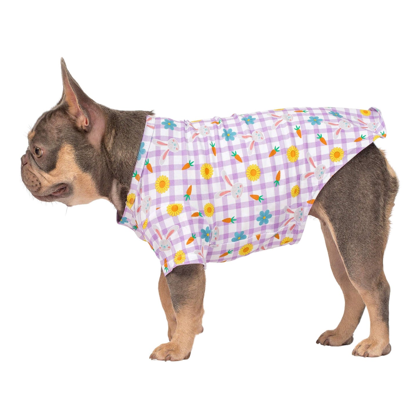 Hoppy Easter Dog Shirt